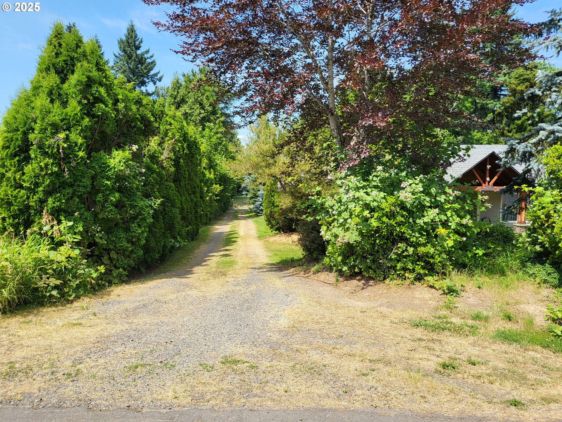32141 Southeast Mally Road Gresham, OR 97080 - Photo 25 of 36 a view of a yard with plants and trees