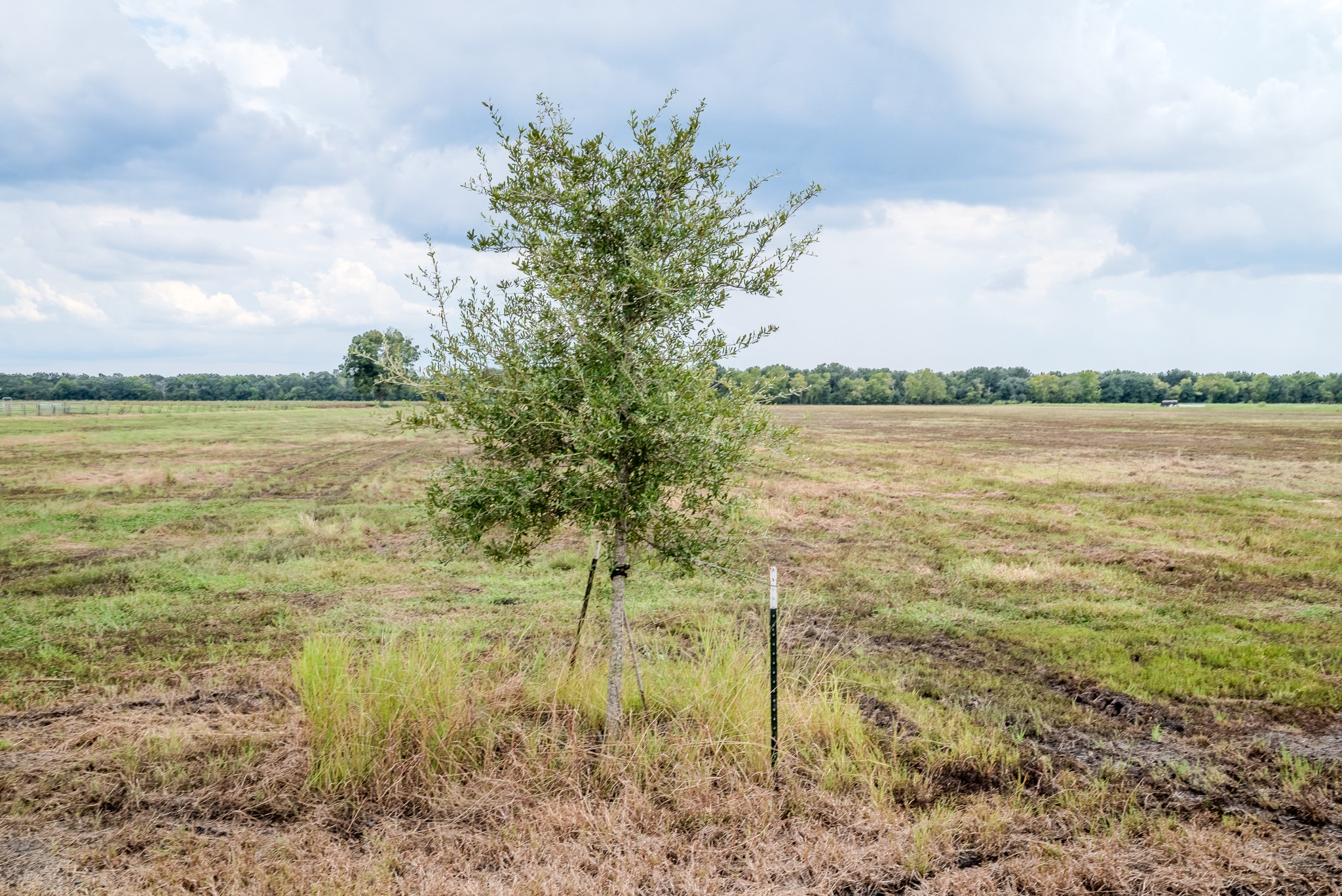 1 Charlie Meyer Road Damon, TX 77430 - Photo 12 of 45 a view of a lake view