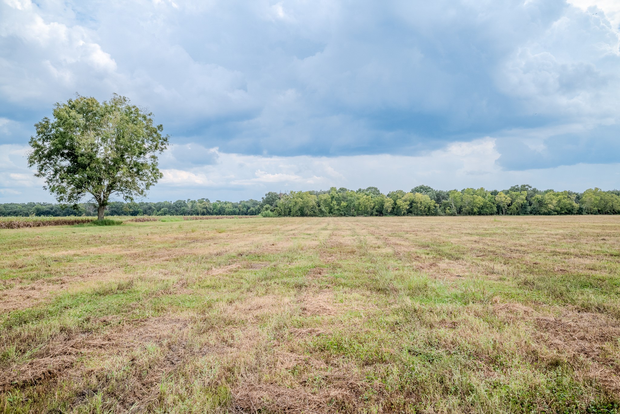 1 Charlie Meyer Road Damon, TX 77430 - Photo 14 of 45 a view of a lake view