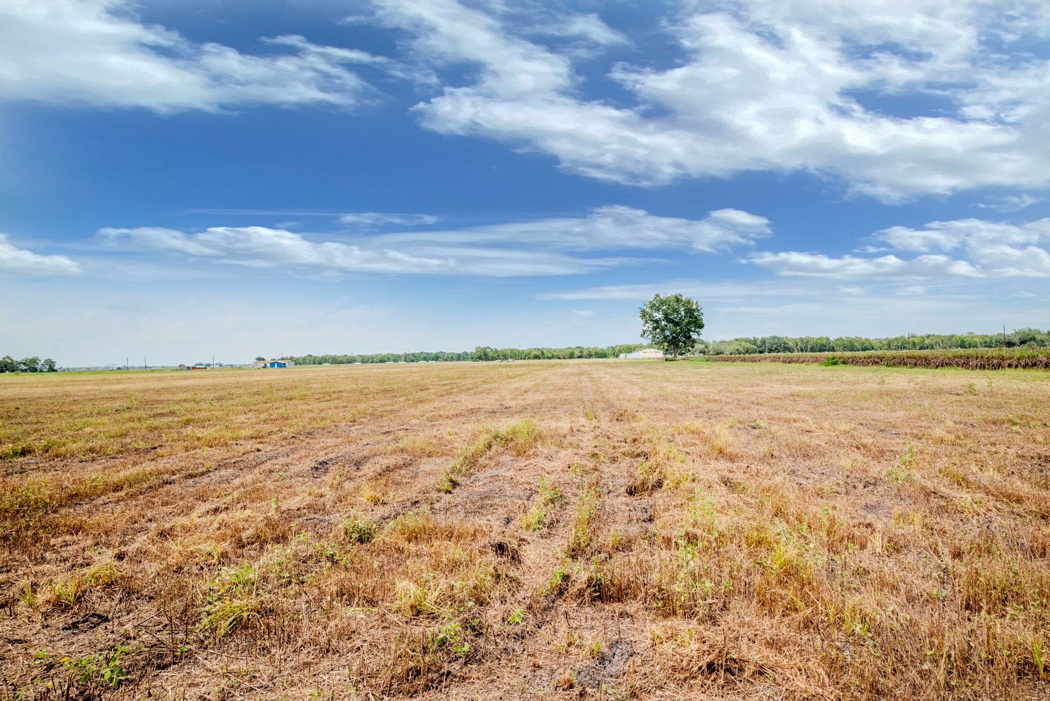 1 Charlie Meyer Road Damon, TX 77430 - Photo 16 of 45 a view of an ocean