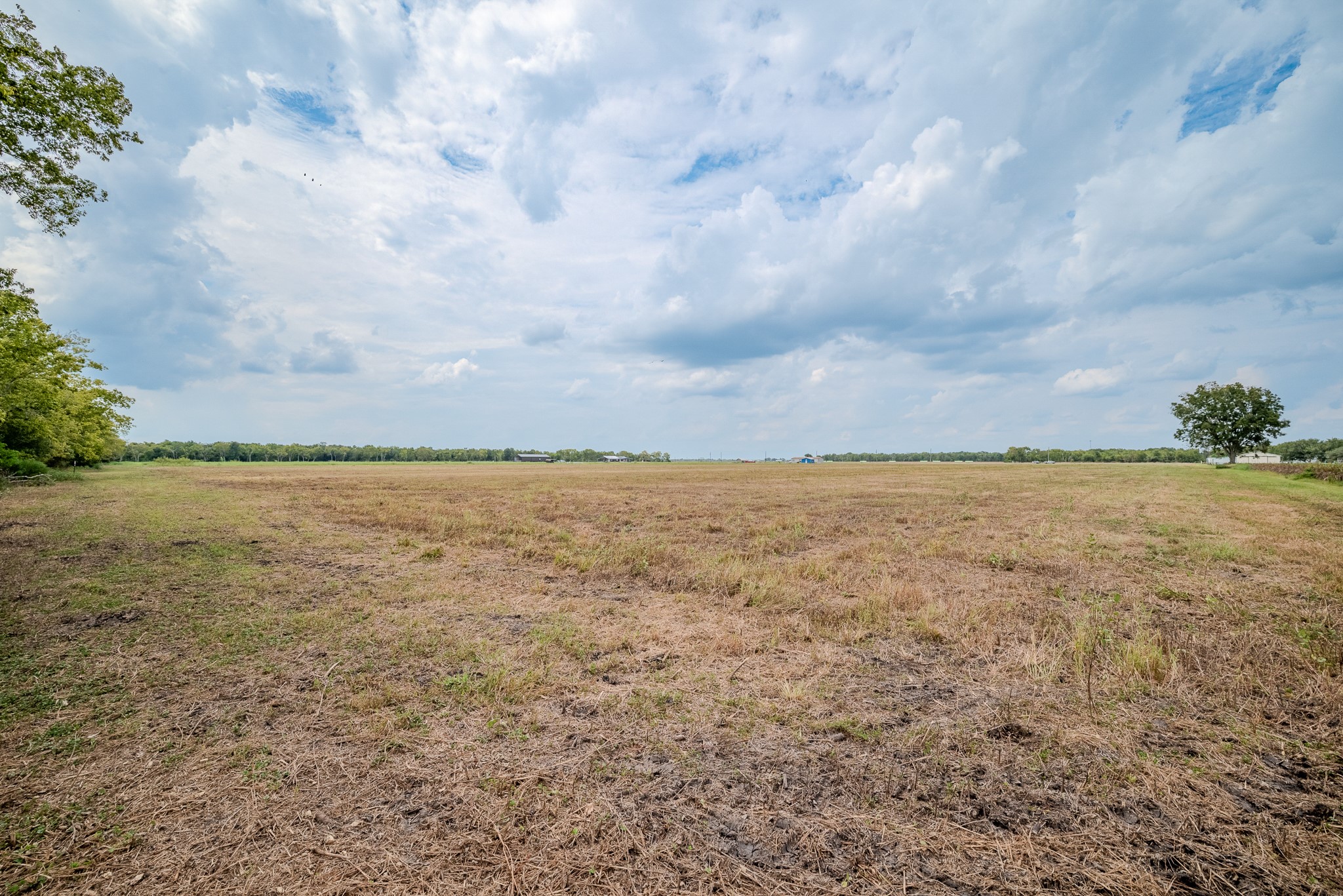 1 Charlie Meyer Road Damon, TX 77430 - Photo 17 of 45 a view of a lake view