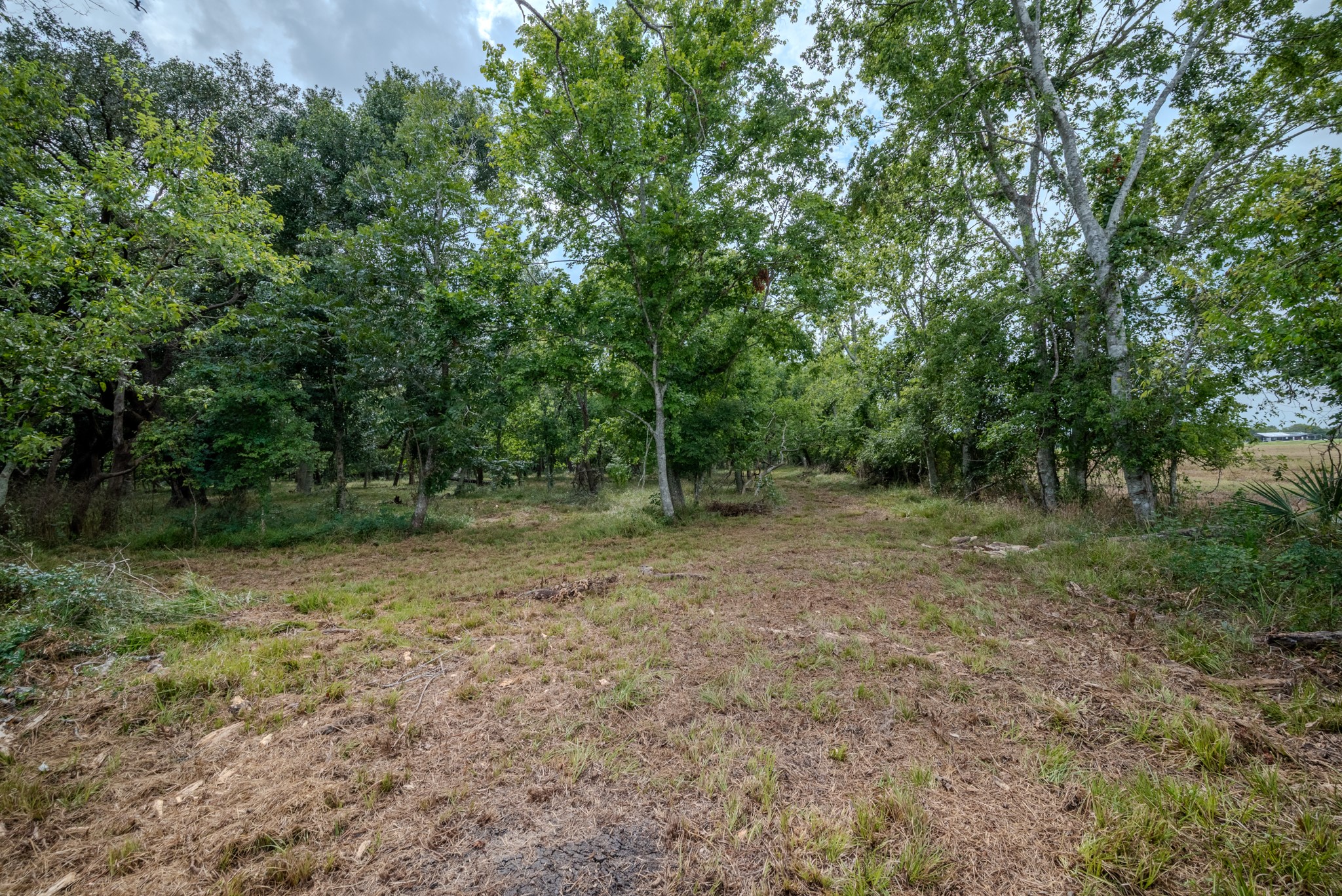 1 Charlie Meyer Road Damon, TX 77430 - Photo 20 of 45 a view of outdoor space and yard