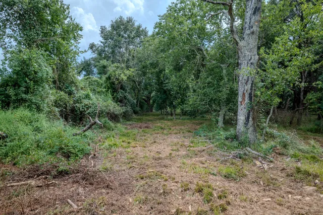 a view of outdoor space and green space