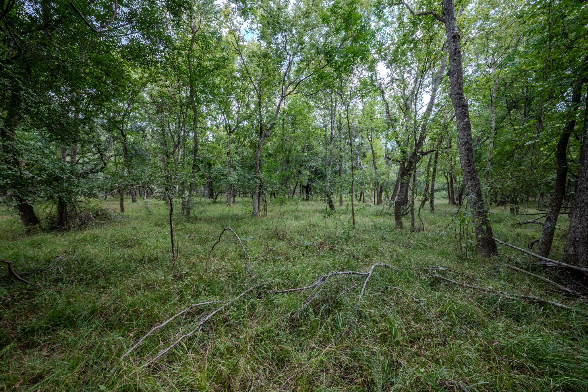 1 Charlie Meyer Road Damon, TX 77430 - Photo 30 of 45 a view of outdoor space with green field and trees