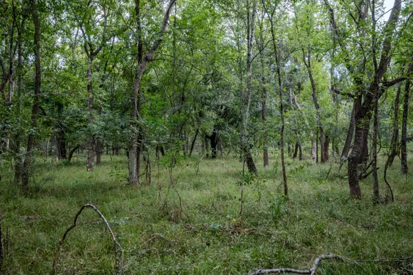 $305,000 | 1 Charlie Meyer Road, Damon, TX 77430