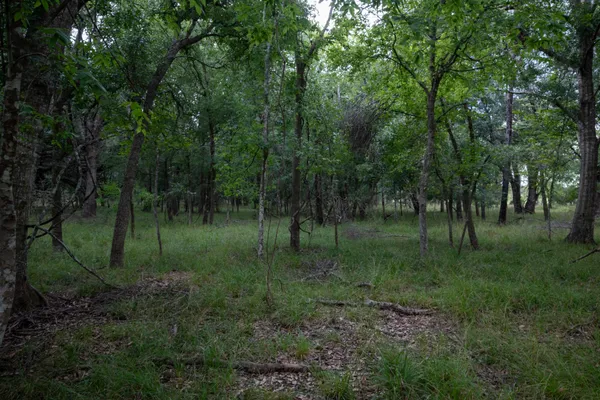 $305,000 | 1 Charlie Meyer Road, Damon, TX 77430