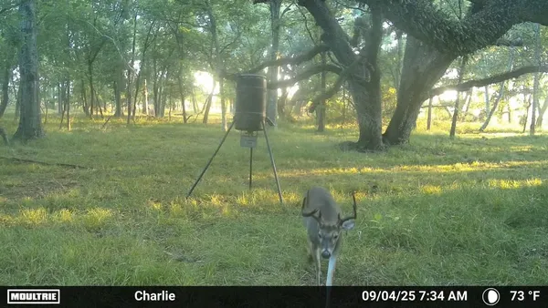 $305,000 | 1 Charlie Meyer Road, Damon, TX 77430