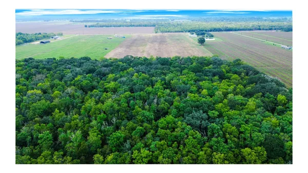 $305,000 | 1 Charlie Meyer Road, Damon, TX 77430