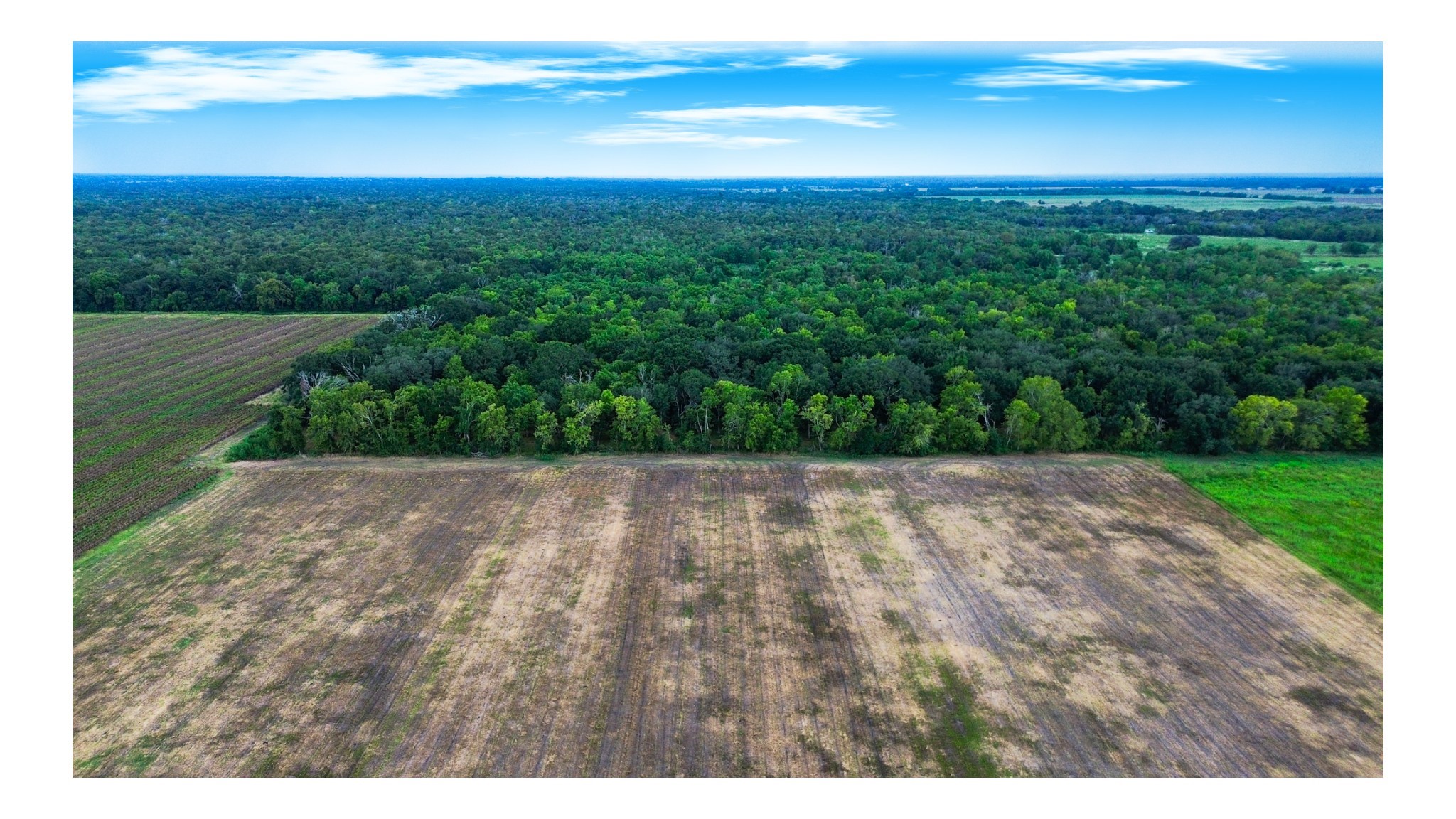 1 Charlie Meyer Road Damon, TX 77430 - Photo 41 of 45 a view of outdoor space and yard