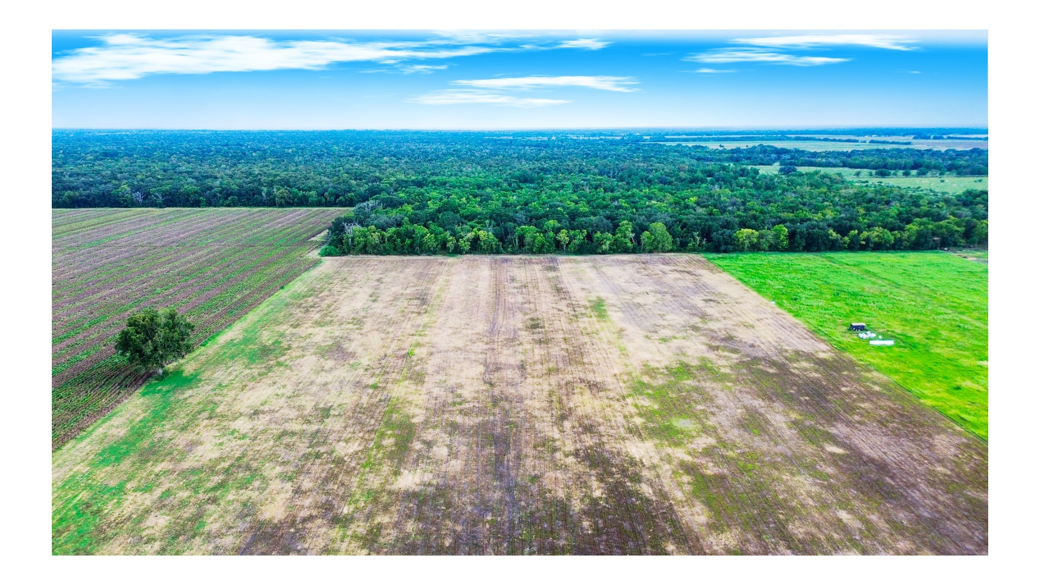 1 Charlie Meyer Road Damon, TX 77430 - Photo 43 of 45 a view of a yard with an ocean view