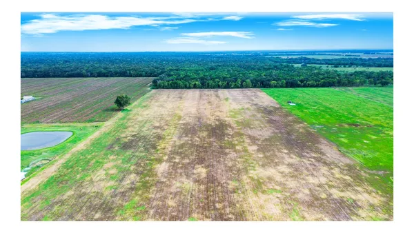 $305,000 | 1 Charlie Meyer Road, Damon, TX 77430
