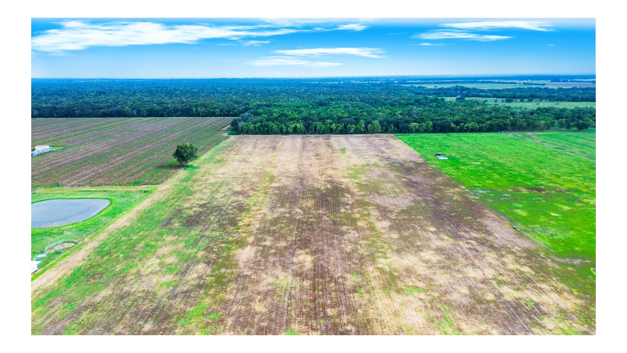 1 Charlie Meyer Road Damon, TX 77430 - Photo 44 of 45 a view of outside area