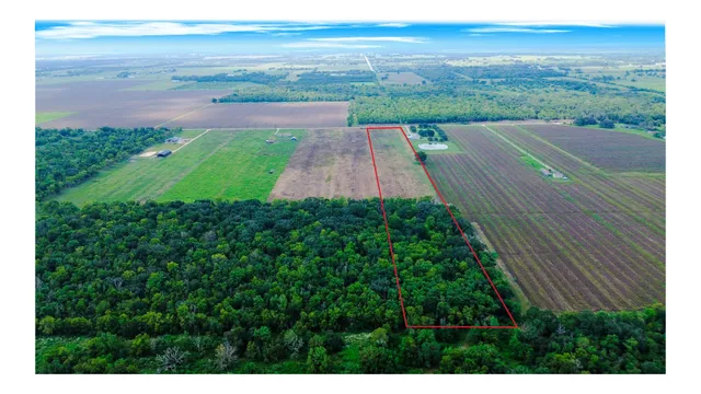 a view of a pathway both side of grassy field with shrub