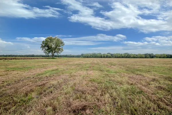$305,000 | 1 Charlie Meyer Road, Damon, TX 77430
