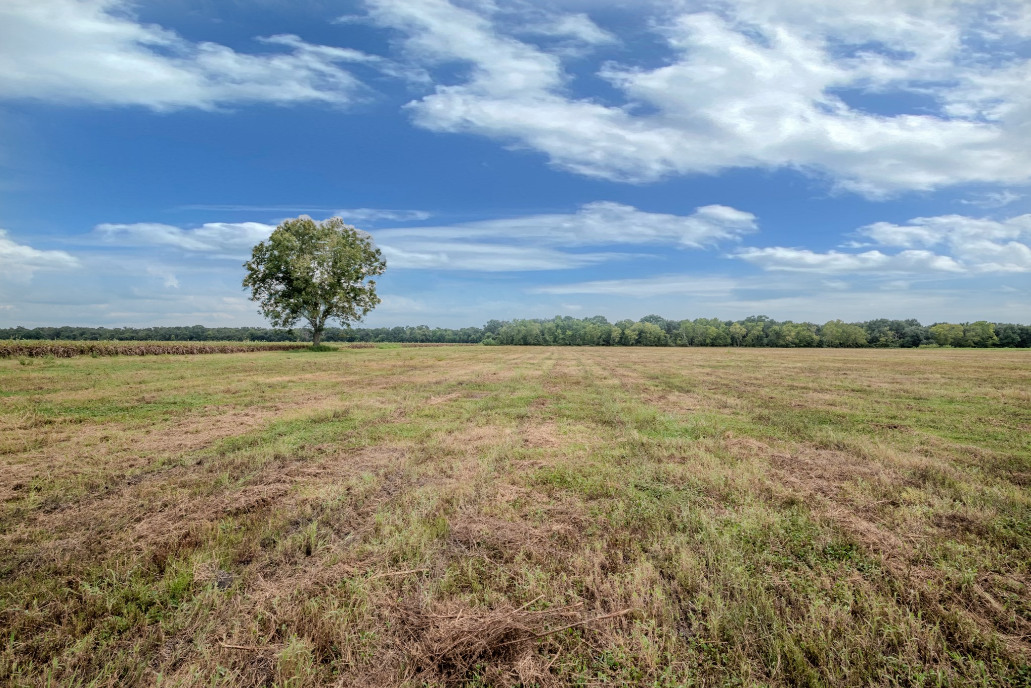 1 Charlie Meyer Road Damon, TX 77430 - Photo 8 of 45 a view of a lake and a mountain