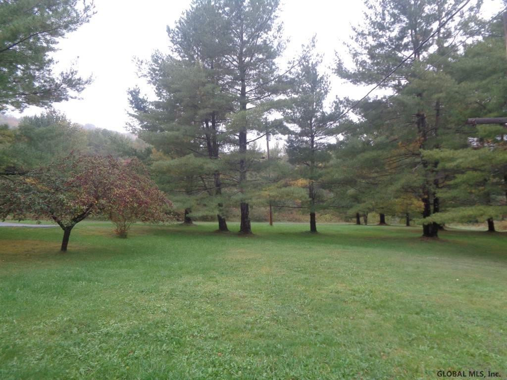 115 Indian Springs Road Gilboa, NY 12076 - Photo 21 of 22 Photo 21