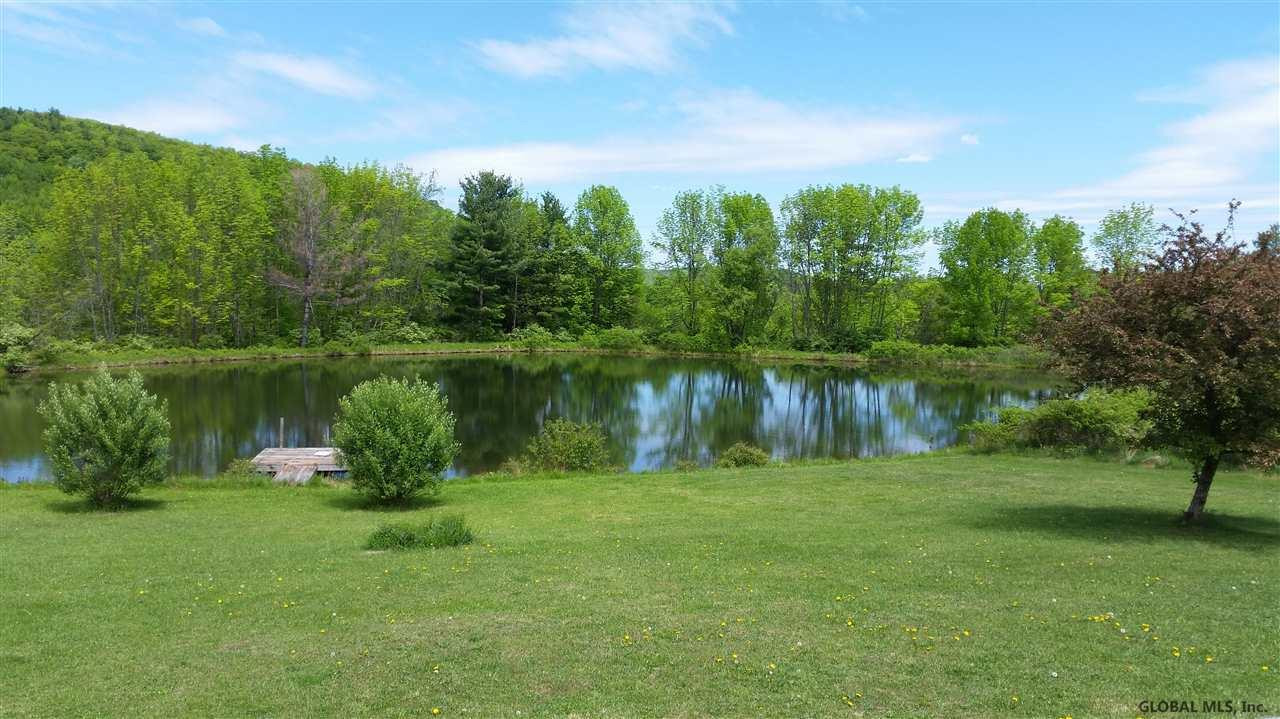115 Indian Springs Road Gilboa, NY 12076 - Photo 3 of 22 Photo 3