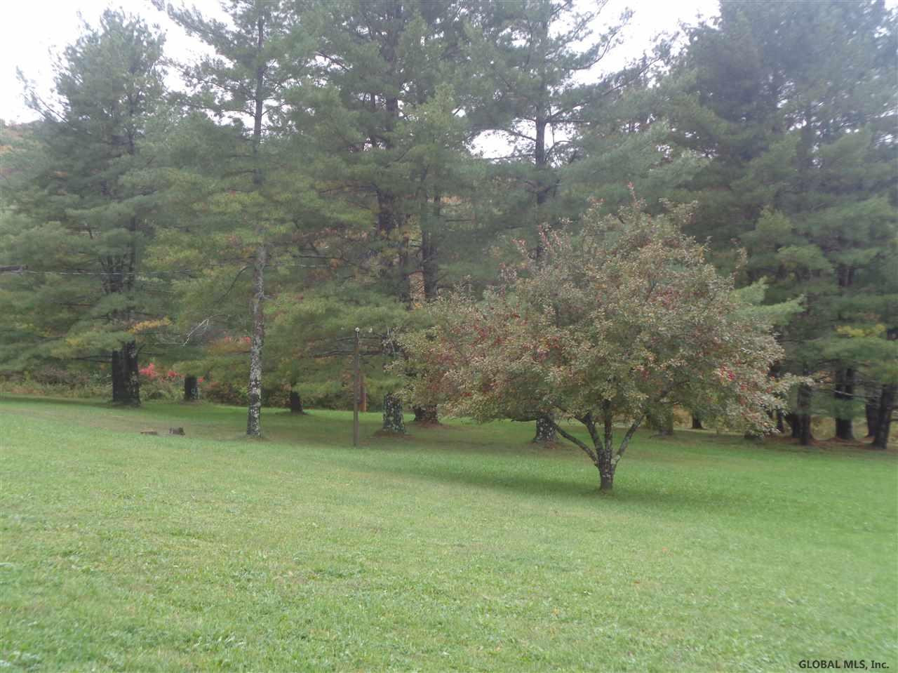 115 Indian Springs Road Gilboa, NY 12076 - Photo 7 of 22 Photo 7