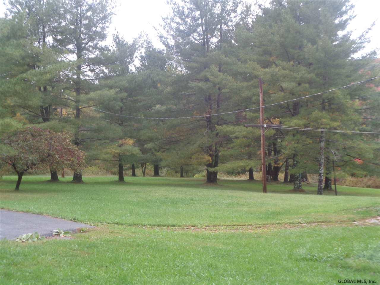 115 Indian Springs Road Gilboa, NY 12076 - Photo 8 of 22 Photo 8