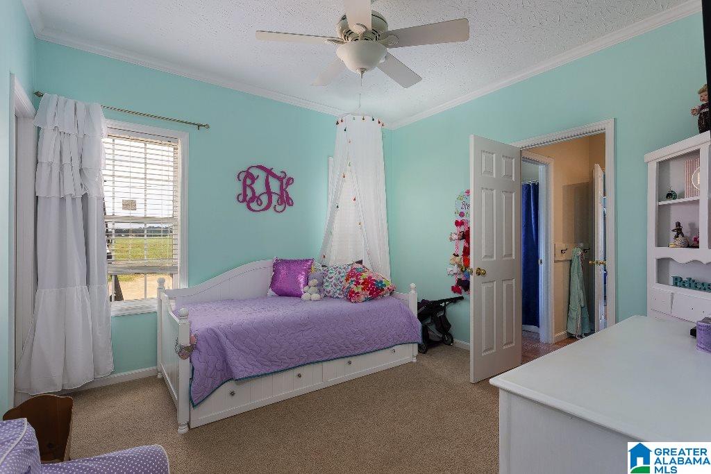 2614 Old Sulphur Springs Road Wellington, AL 36279 - Photo 27 of 42