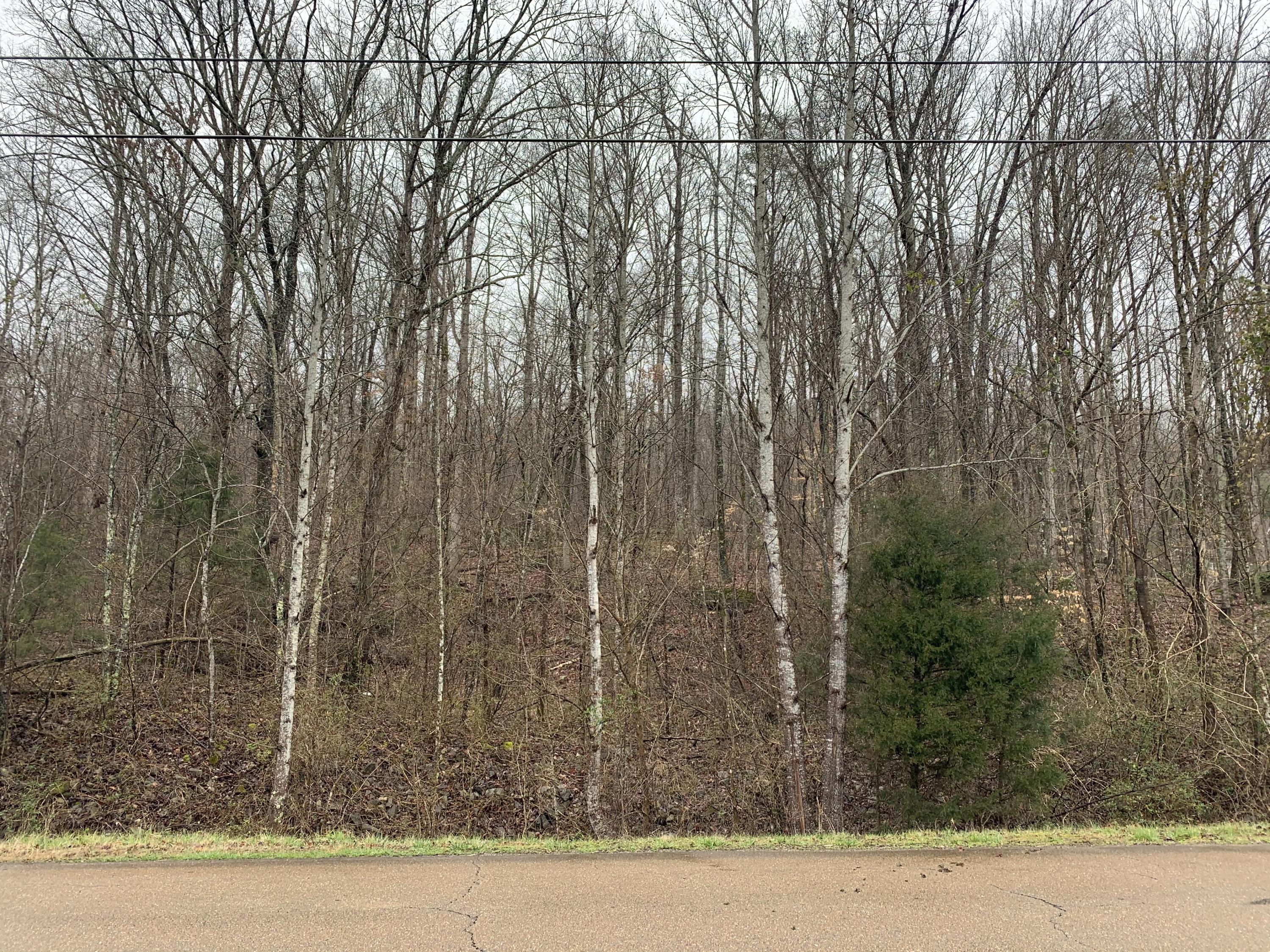 59 Frank Tate Road Whitwell, TN 37397 - Photo 2 of 2 IMG-9870 (1)
