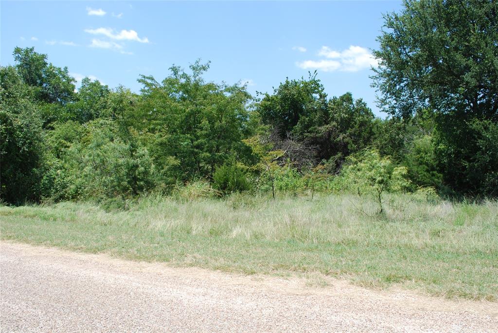 26018 Woodacre Road Whitney, TX 76692 - Photo 8 of 9 Gallery Image 8