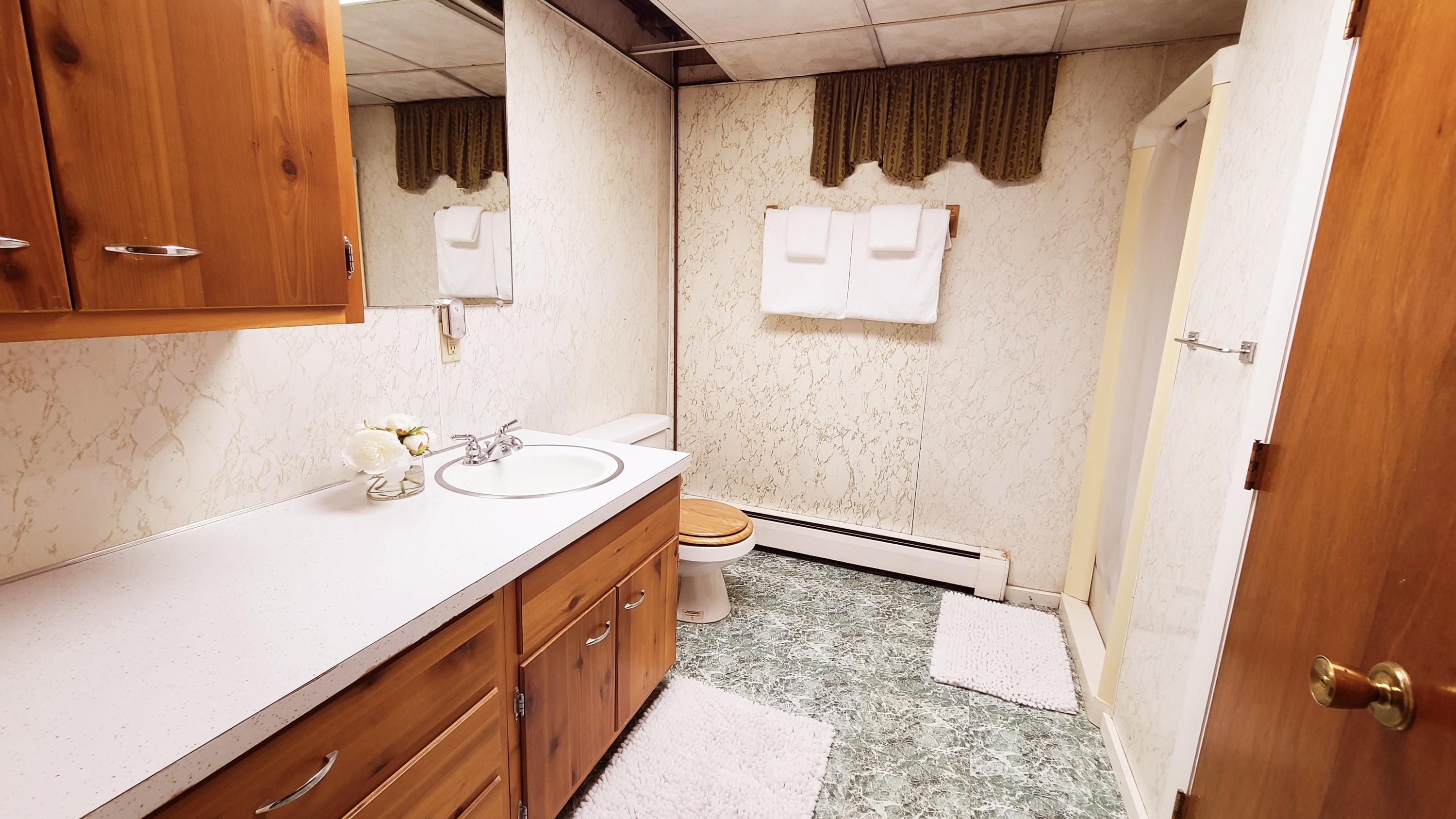 119 Bangor Road Unity, ME 04988 - Photo 20 of 37 Lower Level Bath
