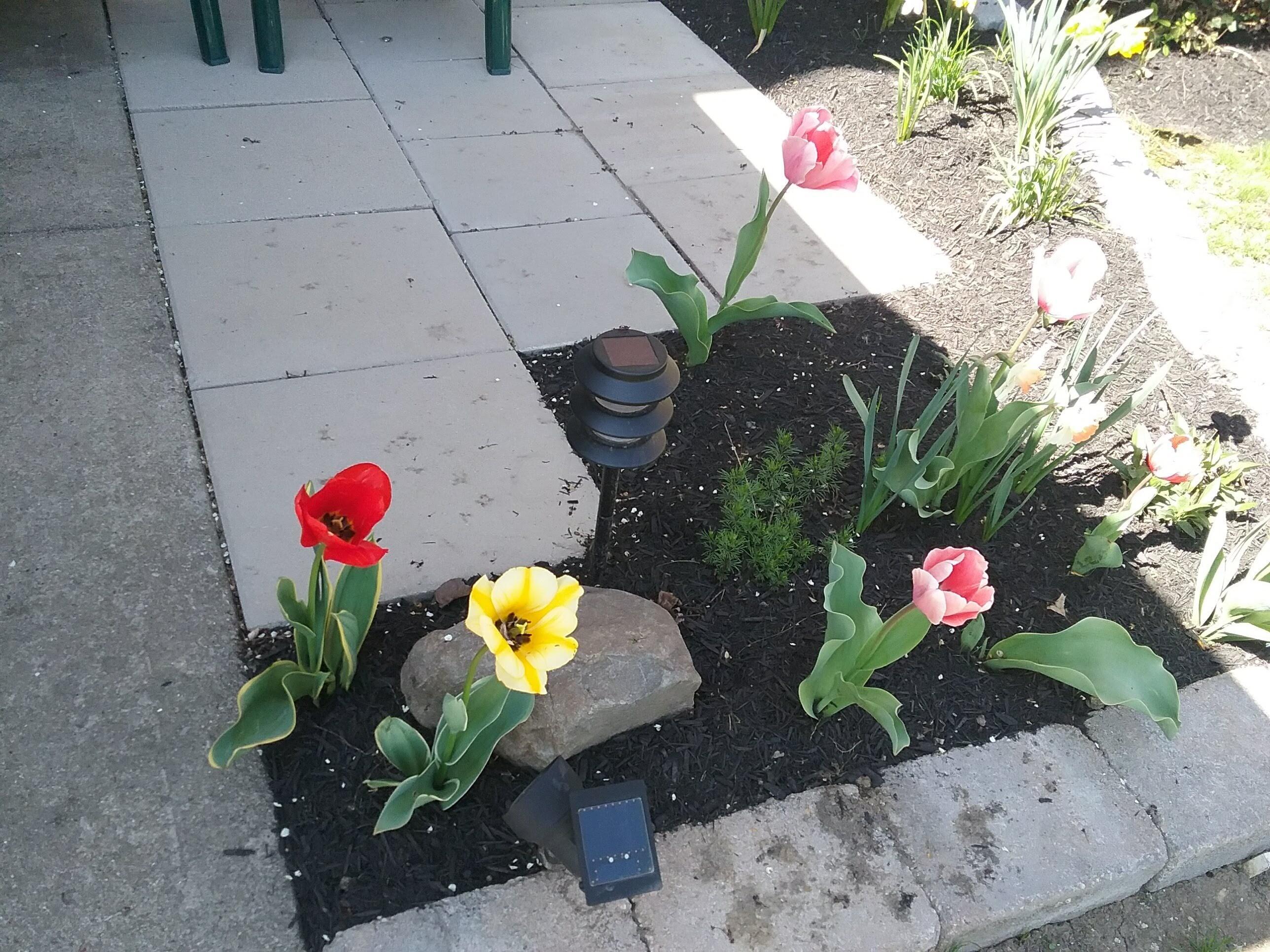 3941 Karl Road, Unit 129 Columbus, OH 43224 - Photo 22 of 30 Garden In Bloom
