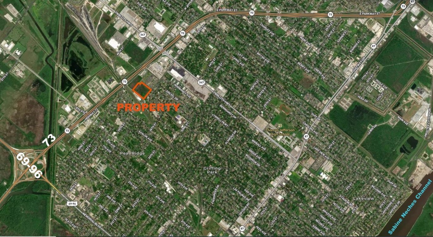 0 39th Street Port Arthur, TX 77642 - Photo 12 of 17 a close up of a plant in a garden