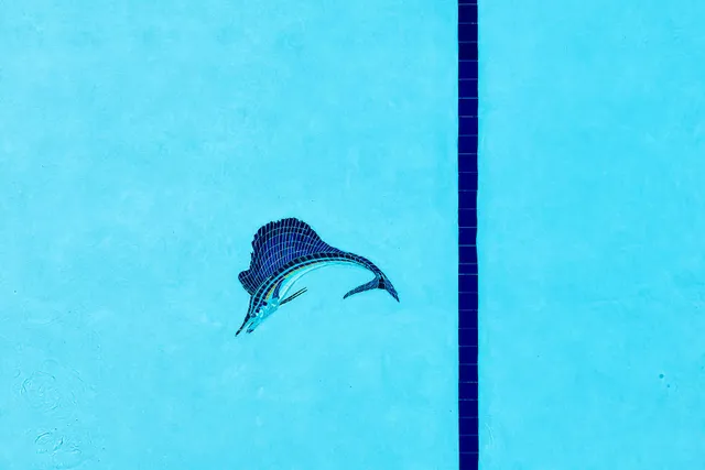 a view of a backyard with wooden fence
