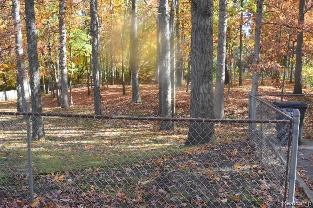 9363 Moon Road Saline, MI 48176 - Photo 42 of 49 DSC_6069.jpg