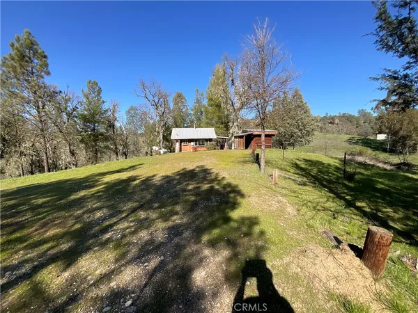 a view of a field with plants and trees in a park