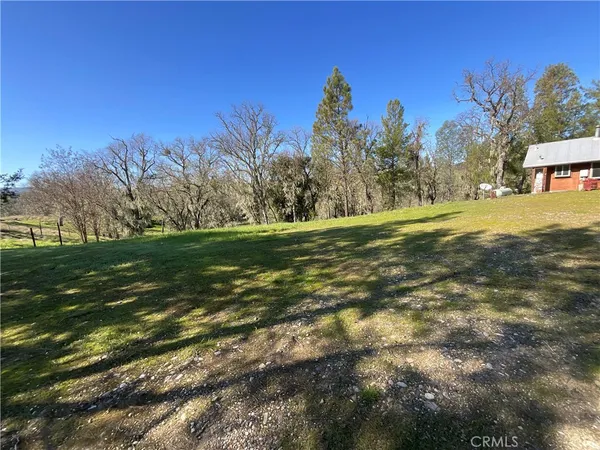 a view of outdoor space and yard