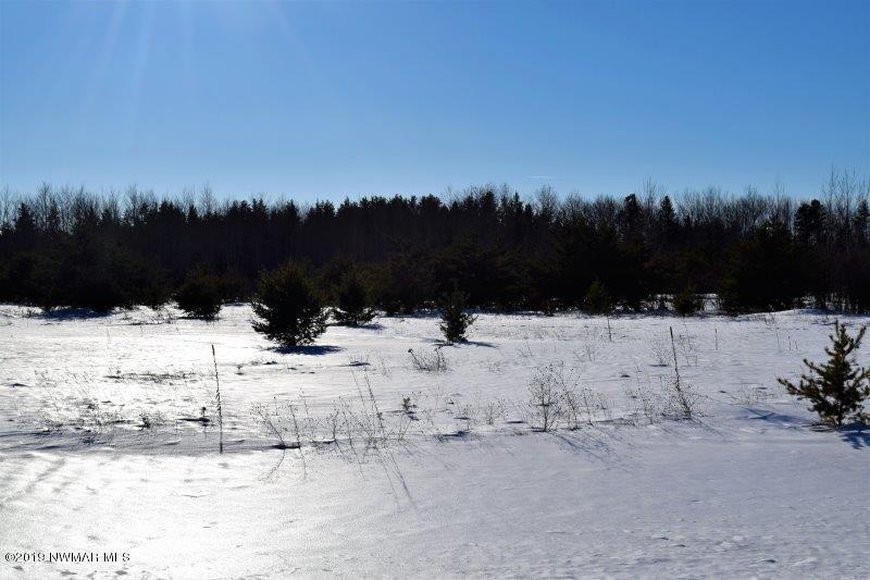 Tbd Kestrel Road Northwest Bemidji, MN 56601 - Photo 1 of 1
