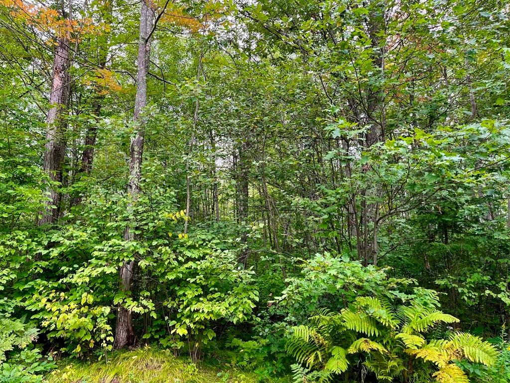 5.3-acre Woodboro Heights Road Rhinelander, WI 54501 - Photo 1 of 2 Gallery Image 1