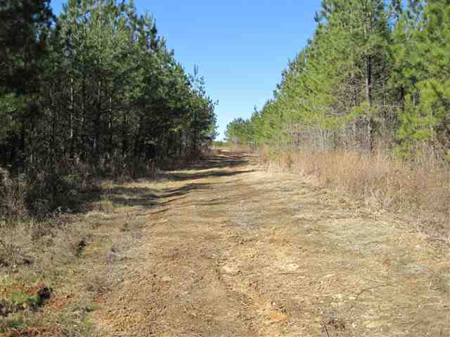 830 Dunklin Bridge Road Fountain Inn, SC 29644 - Photo 2 of 9