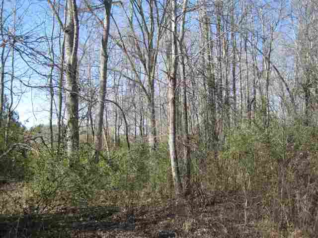 830 Dunklin Bridge Road Fountain Inn, SC 29644 - Photo 6 of 9