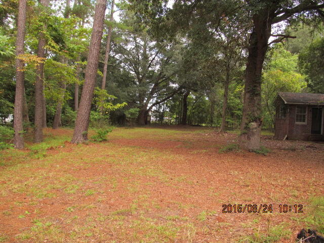 207 Shannon Road Walterboro, SC 29488 - Photo 16 of 18 006