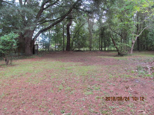 207 Shannon Road Walterboro, SC 29488 - Photo 17 of 18 008