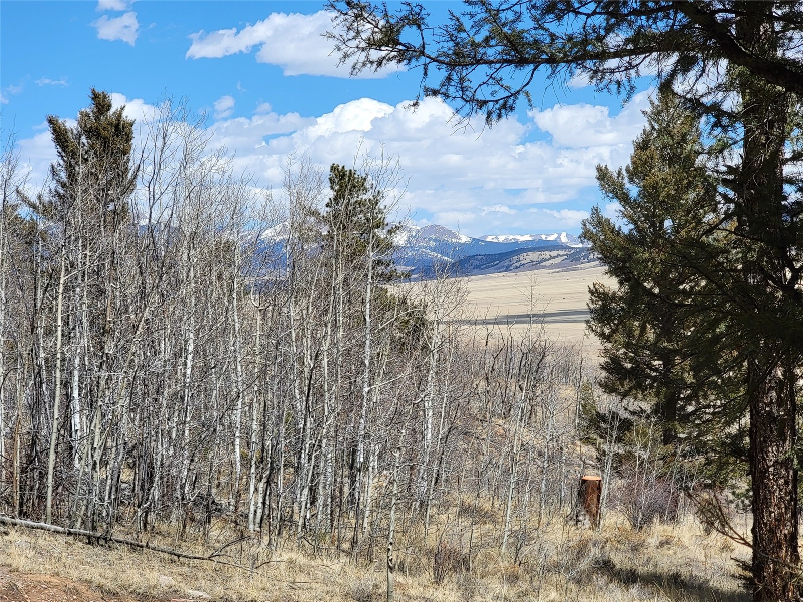 2270 Redhill Road Fairplay, CO 80440 - Photo 20 of 26 Gallery Image 20