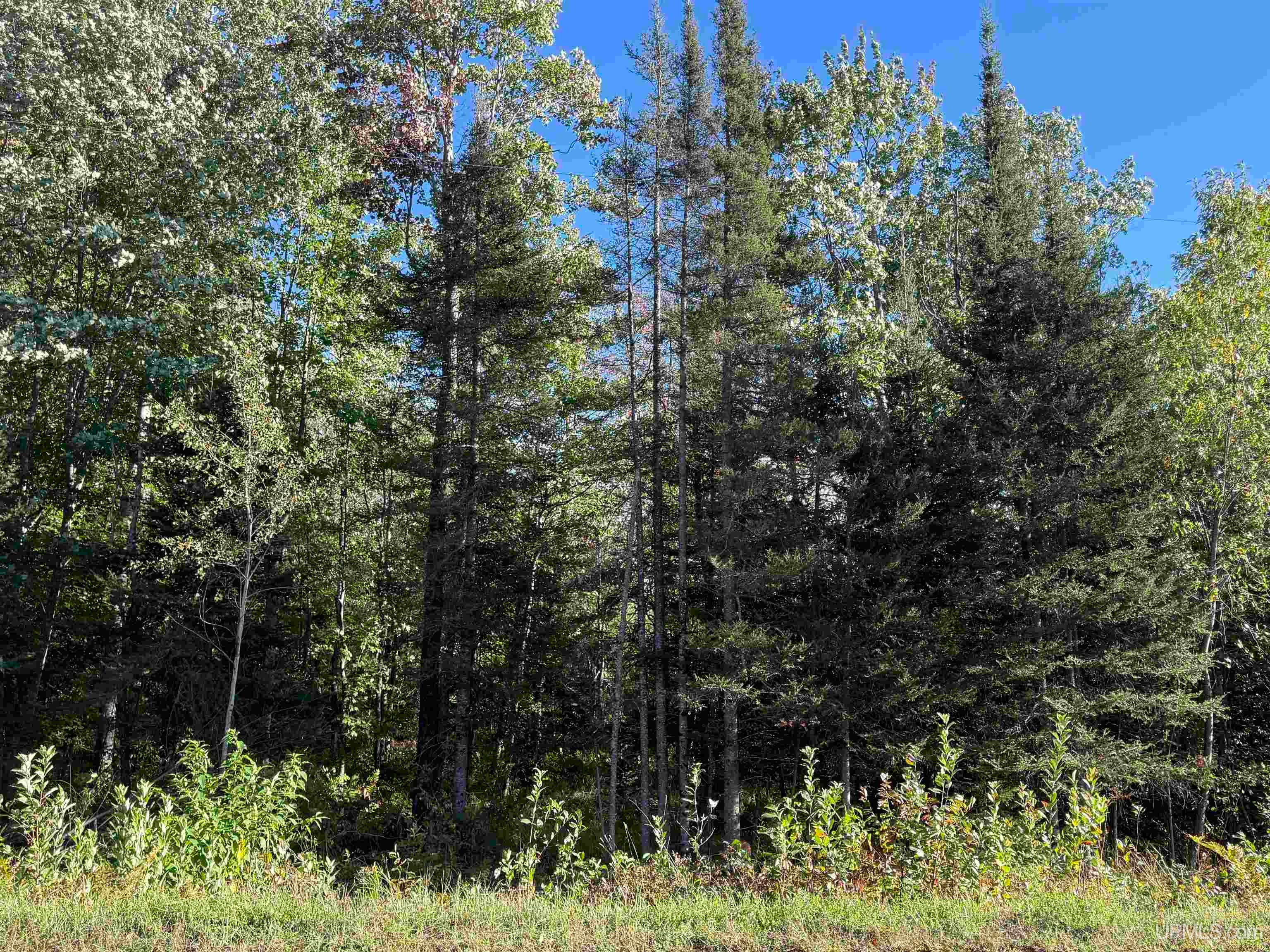 14-ac Lind Road Crystal Falls, MI 49920 - Photo 20 of 22 Gallery Image 20