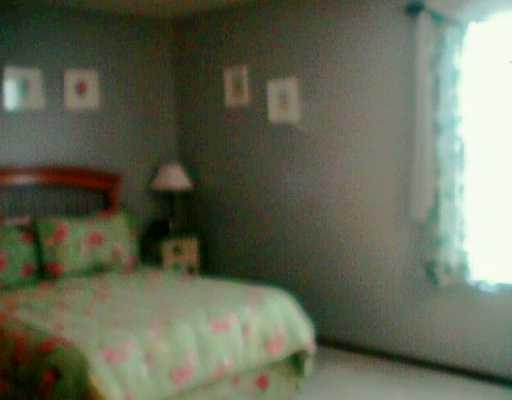 3533 Cedar Ridge Road Allison Park, PA 15101 - Photo 5 of 7 Master Bedroom.