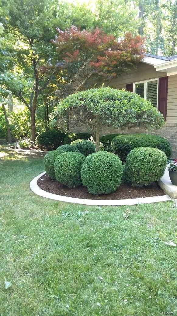 1815 Alsdorf Avenue Rochester, MI 48309 - Photo 88 of 99 Gallery Image 88