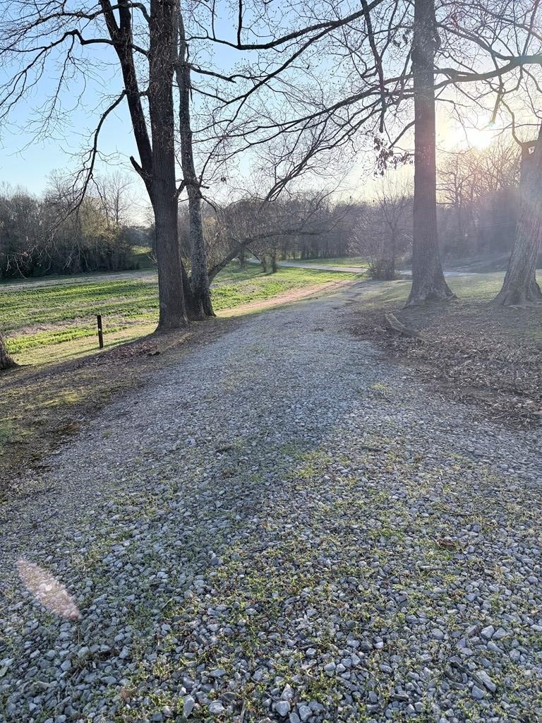 10926 Lafayette Road Herndon, KY 42236 - Photo 7 of 42 a view of outdoor space with trees