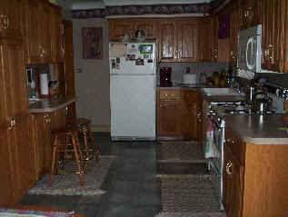 9353 Raisin Street Maybee, MI 48159 - Photo 4 of 15 629340-3.JPG
