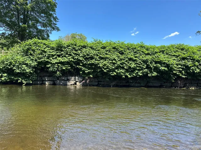 a view of a lake with a yard