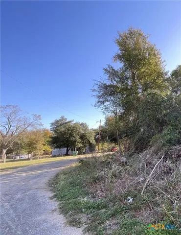 a view of a yard with a tree