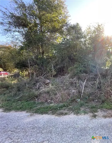 a view of a yard with a tree