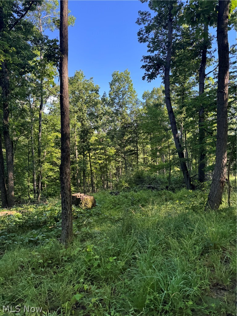 Stone Quarry Road Danville, OH 43014 - Photo 19 of 50