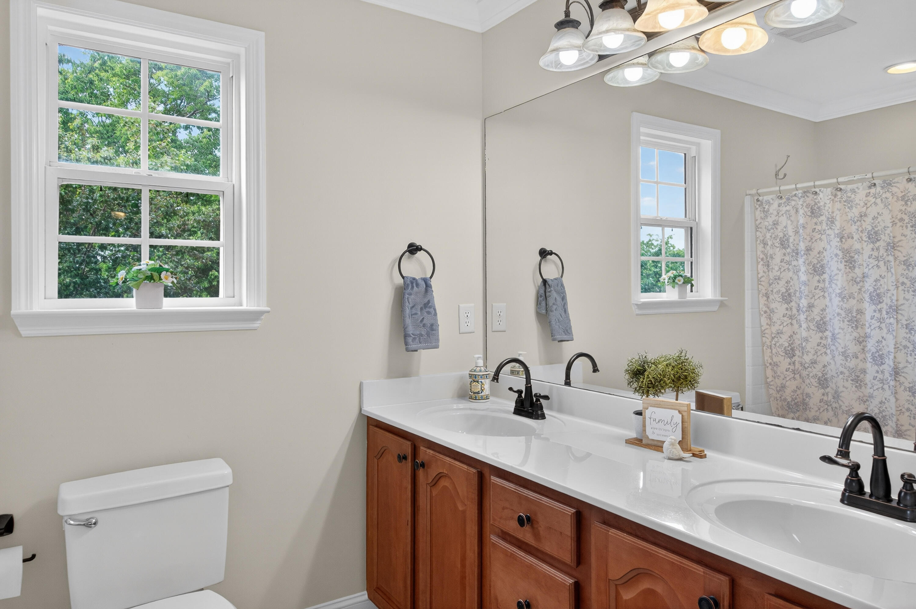 111 Will Ridge Drive Ringgold, GA 30736 - Photo 31 of 50 Double sinks in guest bath